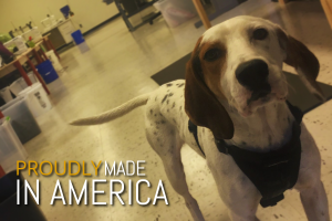 Made In America